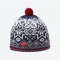 Czapka Kama WINDSTOPPER AW41 granat