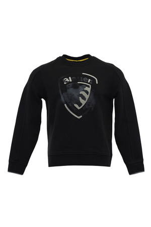 BLUZA MĘSKA BLAUER BLUF03293