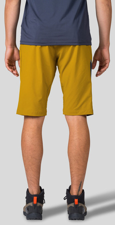 Spodenki męskie HANNAH TORRES golden palm/india  